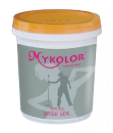 Sơn Mykolor water seal 18Lit